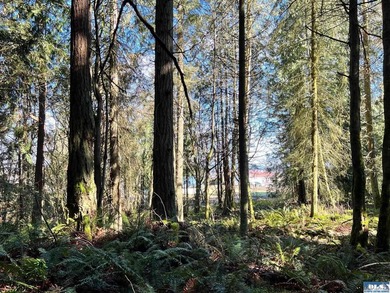 Enjoy water and mountain views from this beautifully treed 3.04 - photo 11