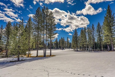 A Rare Golf Course Homesite at Schaffer's Mill. Opportunities - photo 11