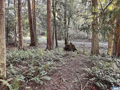 Enjoy water and mountain views from this beautifully treed 3.04 - photo 12
