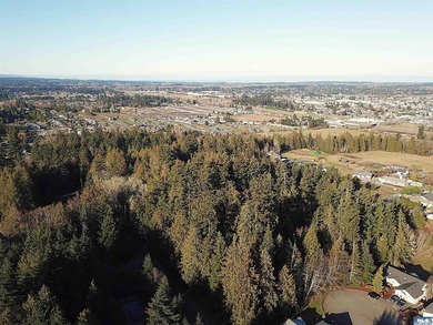 Enjoy water and mountain views from this beautifully treed 3.04 - photo 13