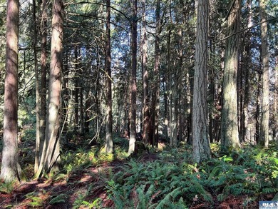 Enjoy water and mountain views from this beautifully treed 3.04 - photo 15