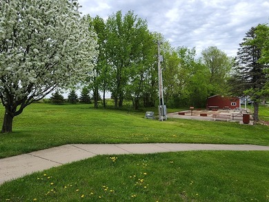 Spacious, level *lot* overlooking Cokato Lake. Room for any size - photo 7