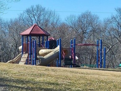 Spacious, level *lot* overlooking Cokato Lake. Room for any size - photo 10