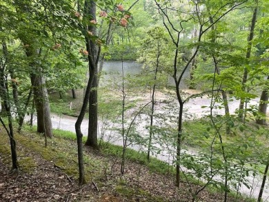 (private lake, pond, creek) Lot For Sale in Ellijay Georgia