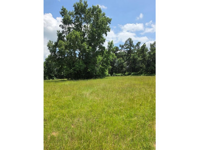 Discover the perfect blend of open pasture, mature woods, and - photo 1