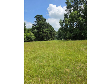 Discover the perfect blend of open pasture, mature woods, and - photo 3
