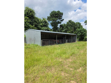 Discover the perfect blend of open pasture, mature woods, and - photo 5