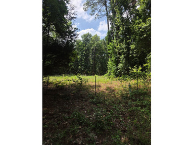 Discover the perfect blend of open pasture, mature woods, and - photo 8