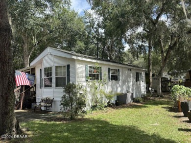 Little Lake Kerr Home For Sale in Salt Springs Florida