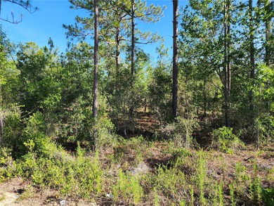 Bonable Lake Lot For Sale in Dunnellon Florida