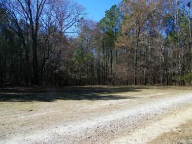 14.5 Acre Estate Lot @ Lake Richard B Russell - photo 3