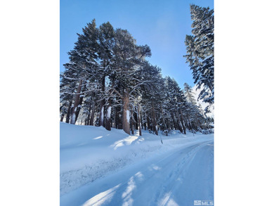 Caples Lake Lot For Sale in Kirkwood California