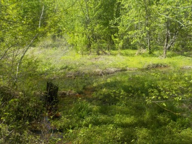 (private lake, pond, creek) Acreage For Sale in Bean Station Tennessee
