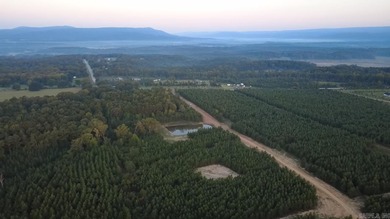 (private lake, pond, creek) Acreage For Sale in Mena Arkansas