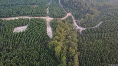 (private lake, pond, creek) Acreage For Sale in Mena Arkansas