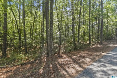 Lake Lot For Sale in Northport, Alabama