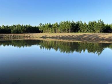 (private lake, pond, creek) Acreage For Sale in Mena Arkansas