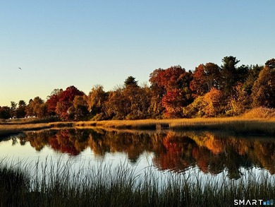 Hidden along a private lane in Westport's Greens Farms - photo 38