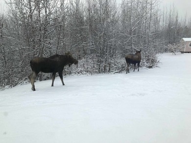 Located in the popular West Chena Hills of Fairbanks, this 3 - photo 49