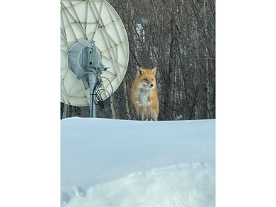 Located in the popular West Chena Hills of Fairbanks, this 3 - photo 50