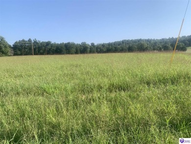 Nolin Lake Acreage For Sale in Clarkson Kentucky