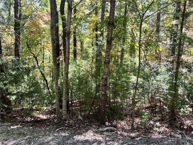 (private lake, pond, coastal) Acreage For Sale in Purlear North Carolina