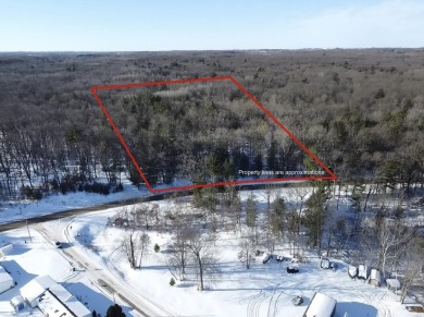 Lake Lot For Sale in Grant, Michigan