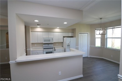 Welcome to Heritage Cove, one of Fort Myers' premier 55+ gated - photo 12