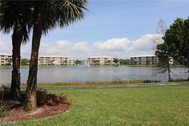 Welcome to Heritage Cove, one of Fort Myers' premier 55+ gated - photo 18