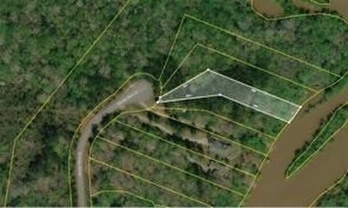 Lake Lot For Sale in Eatonton, Georgia