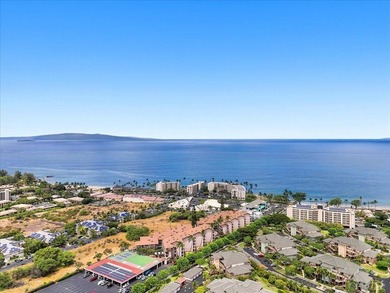 Kihei Ali'i Kai C306 is a beautifully updated 1-bedroom, 1-bath - photo 38