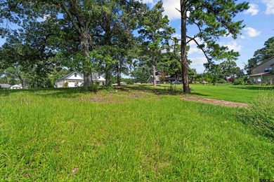 Amazing opportunity to own a rare piece of Waterfront property - photo 3