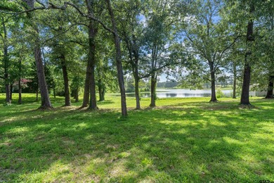 Amazing opportunity to own a rare piece of Waterfront property - photo 5