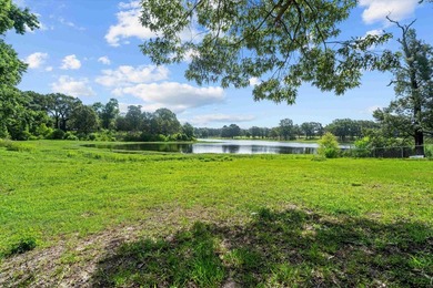 Amazing opportunity to own a rare piece of Waterfront property - photo 6