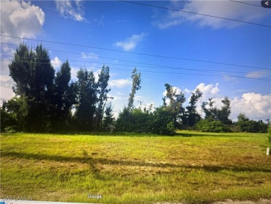 Lake Lot For Sale in Cape Coral, Florida