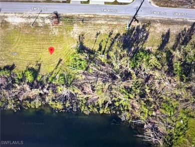Beautiful Southern Exposure Overlooking One Of Cape Coral's - photo 5
