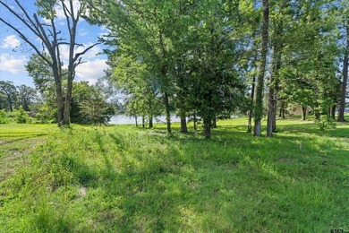 Amazing opportunity to own a rare piece of Waterfront property - photo 2