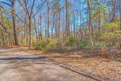 Discover the perfect opportunity to create your own Lowcountry - photo 1