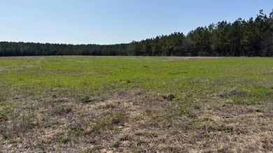 (private lake, pond, creek) Acreage For Sale in Hemphill Texas