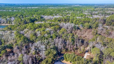 Discover the perfect opportunity to create your own Lowcountry - photo 9