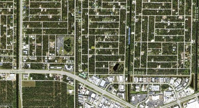 No HOA, deed restrictions or CDDs!!! Don't wait until demand - photo 3