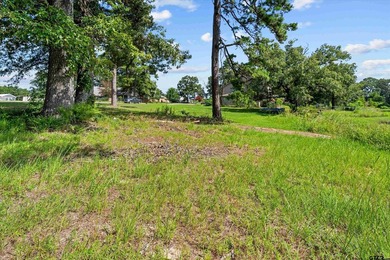 Amazing opportunity to own a rare piece of Waterfront property - photo 3