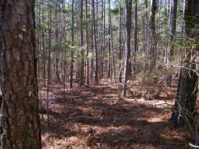 14.5 Acre Estate Lot @ Lake Richard B Russell - photo 4
