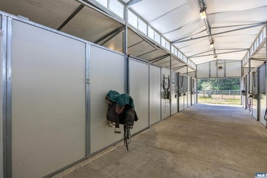 High-utility homestead that balances agricultural potential with - photo 33