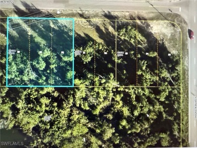 Beautiful Southern Exposure Lot land Overlooking One Of Cape - photo 4