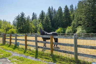 High-utility homestead that balances agricultural potential with - photo 35