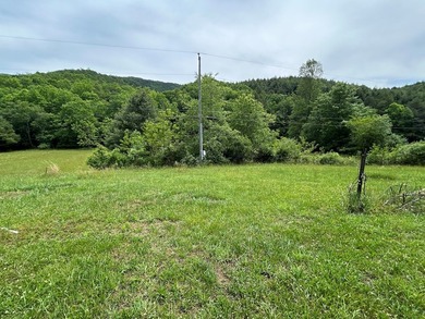 Your chance to own 3 acres of beautiful land with a creek on 2 - photo 35