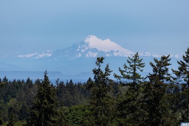High-utility homestead that balances agricultural potential with - photo 38