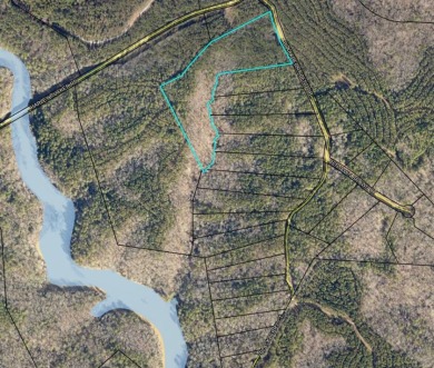 14.5 Acre Estate Lot @ Lake Richard B Russell - photo 2