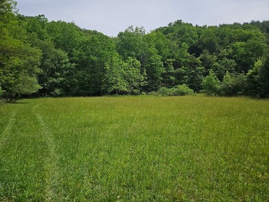 Your chance to own 3 acres of beautiful land with a creek on 2 - photo 41